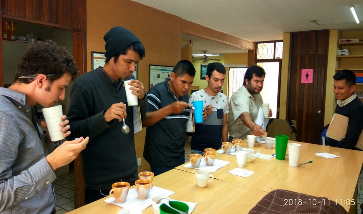 A group cupping in Nayarit