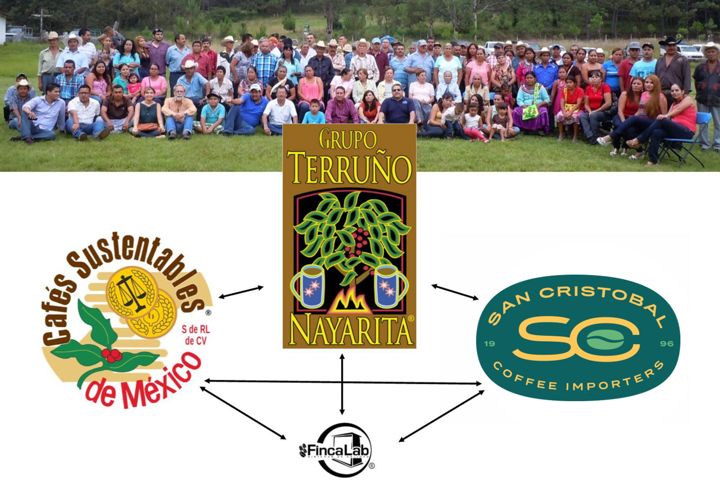 Today, San Cristobal is vertically integrated at source with Grupo Terruño Nayarita, an organized group of coffee producing societies across seven different communities.